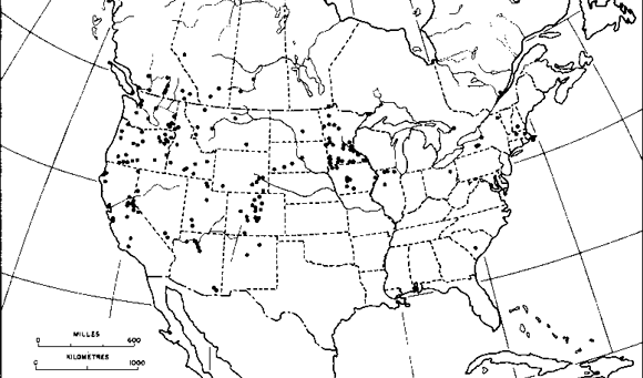 neartic range map for Formica argentea