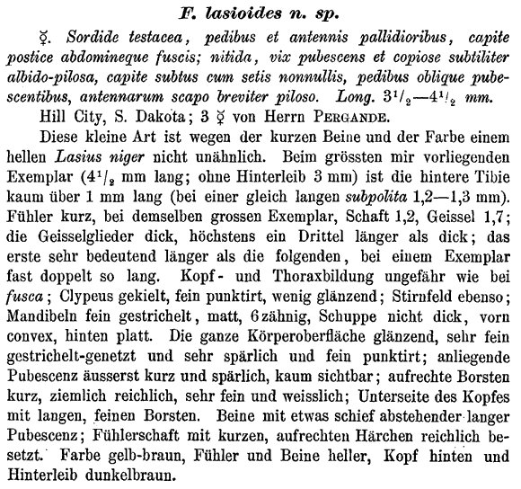 the original species description for Formica lasioides (first page)