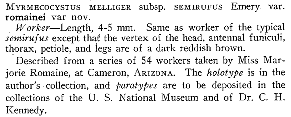 the original species description for Myrmecocystus romainei (first page)