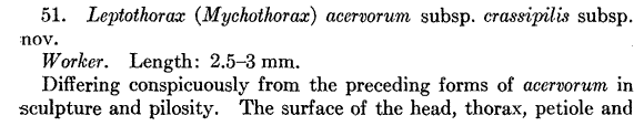 the original species description for Leptothorax crassipilis (first page)