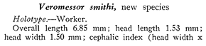 the original species description for Messor smithi (first page)