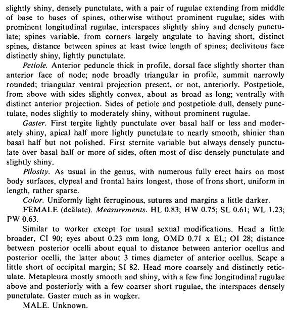 species description for Stenamma californicum (second page)