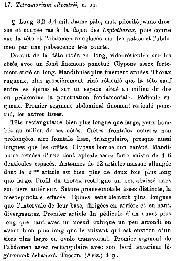 the original species description for Temnothorax silvestrii (first page)